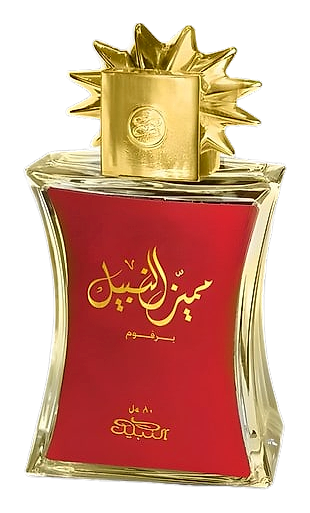 Mumaiyaz Al Nabeel by Nabeel