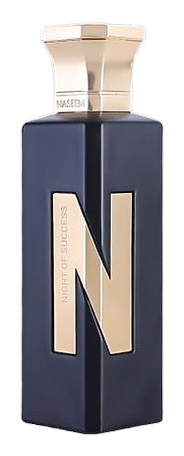 Night of Success by Naseem