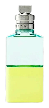 Neon Garden by Dries Van Noten