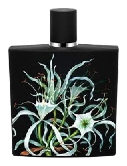 Amazon Lily by Nest