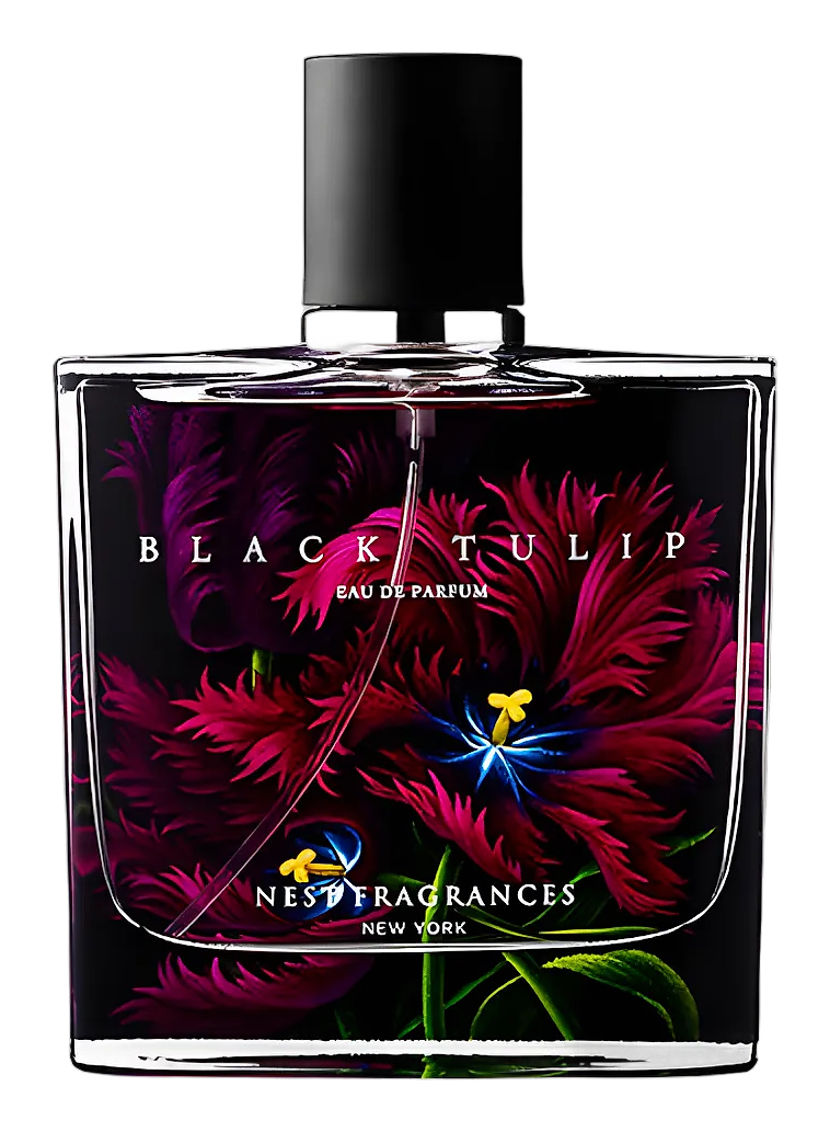 Black Tulip by Nest