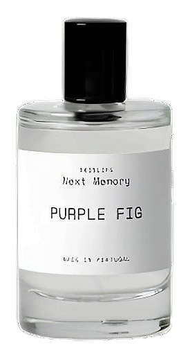 Purple Fig by Next Memory