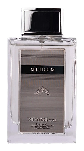 Meidum by Nilafar du Nil