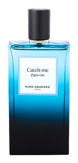 Catch Me If You Can by Nino Amaddeo