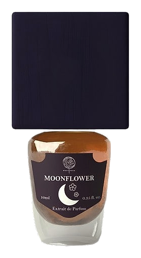 MoonFlower by Noctifera