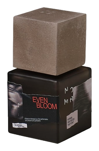 Evenbloom by NOMR