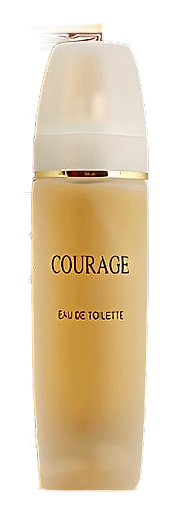 Courage by Новая Заря (The New Dawn)