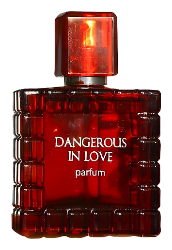 Dangerous in Love by Новая Заря (The New Dawn)