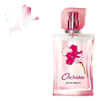 Orchidee by Новая Заря (The New Dawn)