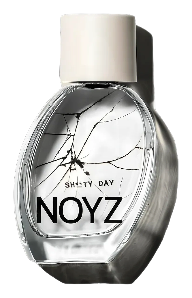 Sh**ty Day by Noyz