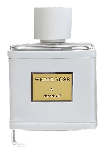 White Rose by Nuancielo