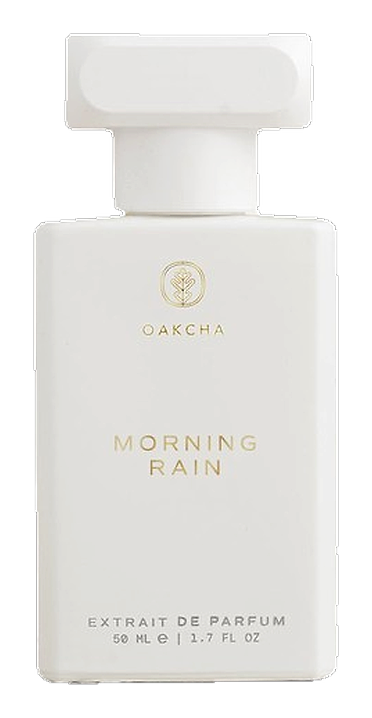 Morning Rain by Oakcha