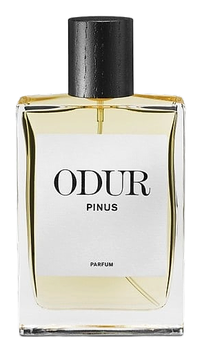 Pinus by ODUR