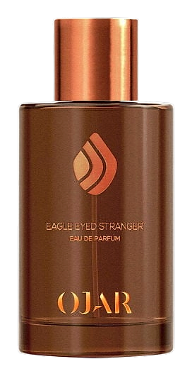 Eagle Eyed Stranger by Ojar