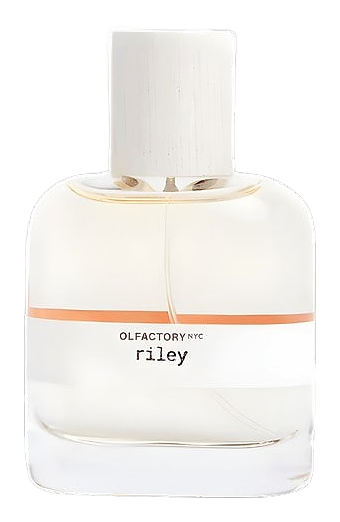 Riley by Olfactory NYC
