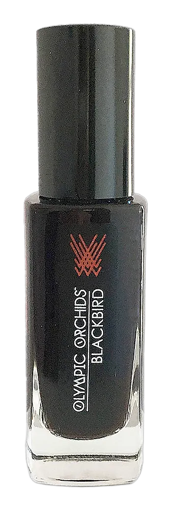 Blackbird by Olympic Orchids Artisan Perfumes