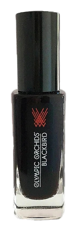 Hamsa by Olympic Orchids Artisan Perfumes – Eau de Parfum