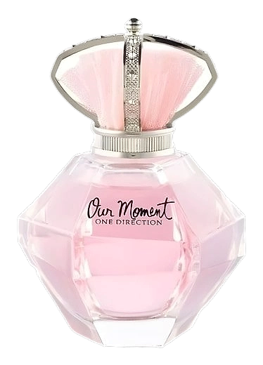 Our Moment by One Direction