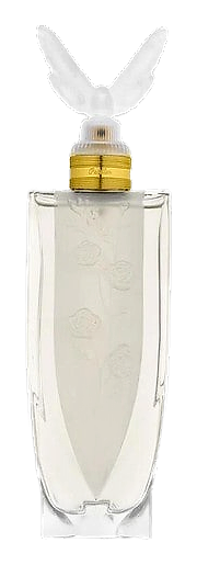 Papillon by One Love – Eau de Parfum