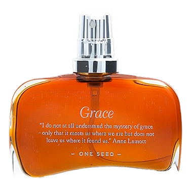 Grace by One Seed