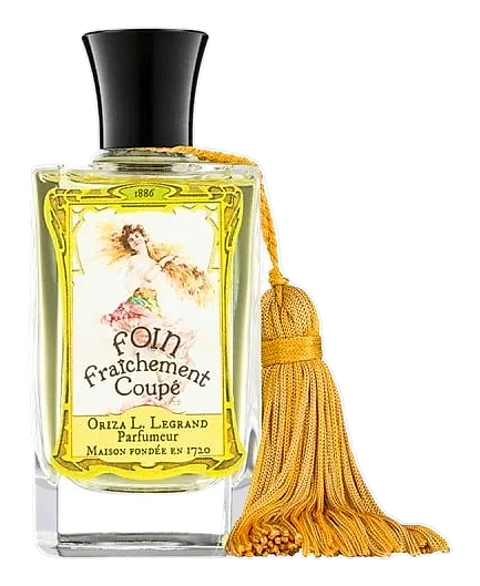 Oriza L. Legrand Foin Fraichement Coupe
