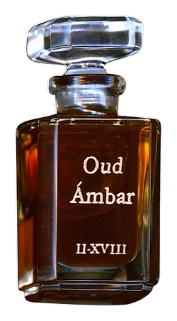 Oud Ambar by Fueguia 1833