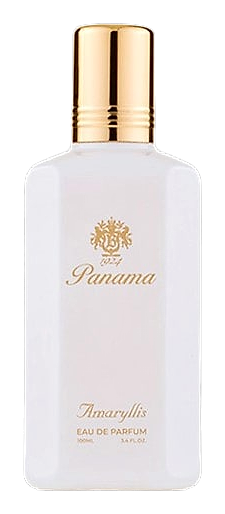 Amaryllis Bianco by Panama 1924