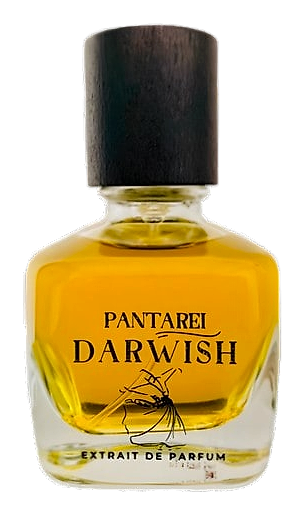 Pantarei Darwish by PantaRei