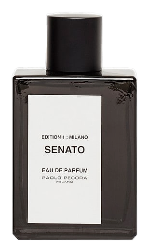 Senato by Paolo Pecora Milano