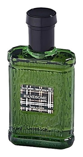 Handsome by Paris Elysees
