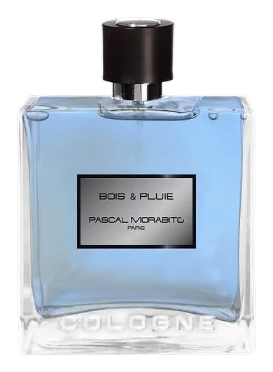 Bois & Pluie by Pascal Morabito