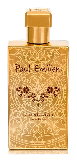 L'esprit Divin by Paul Emilien