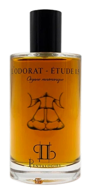 Pentalogies Etude 1.5: L’Odorat