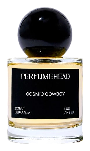 Cosmic Cowboy by Perfumehead