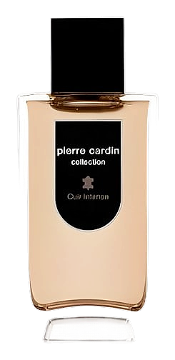 Pierre Cardin Collection Cuir Intense by Pierre Cardin