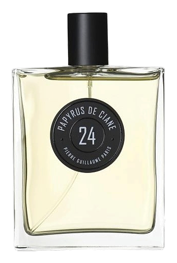 Papyrus De Ciane 24 by Pierre Guillaume Paris