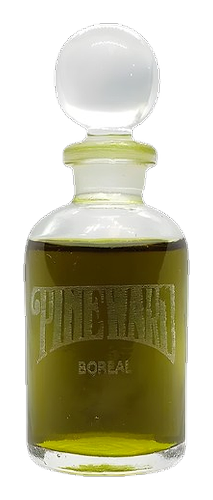 Boreal by Pineward Perfumes
