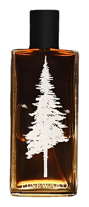 Lime Cola by Pineward Perfumes