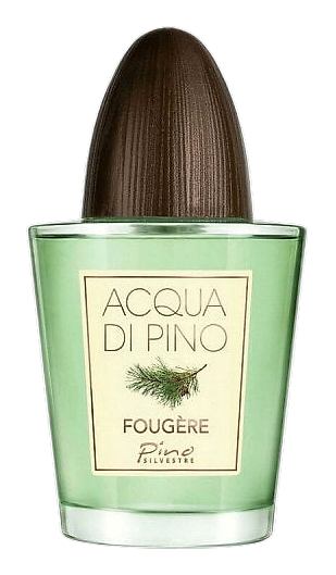 Acqua di Pino Fougere by Pino Silvestre