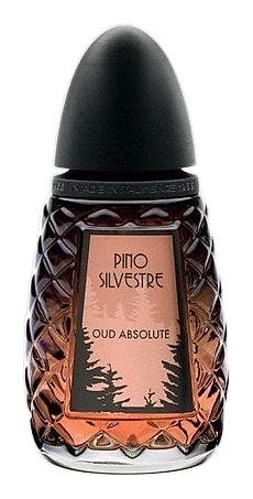 Oud Absolute by Pino Silvestre