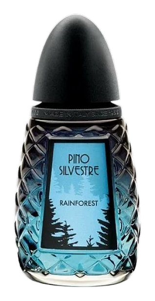 Rainforest by Pino Silvestre