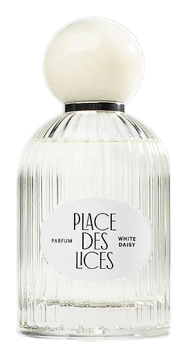 White Daisy by Place des Lices