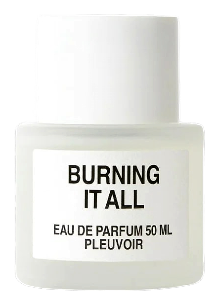 Burning It All by Pleuvoir