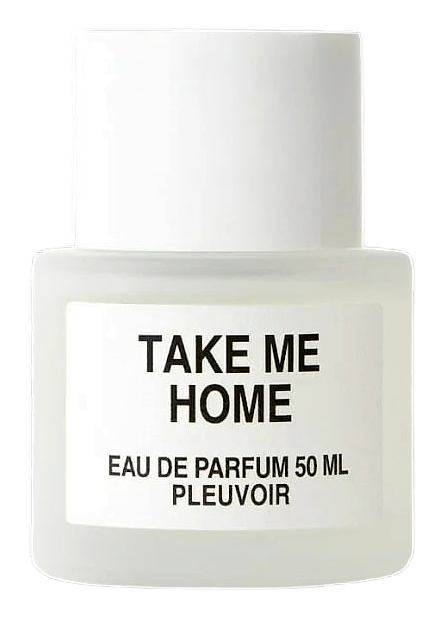 Take Me Home by Pleuvoir