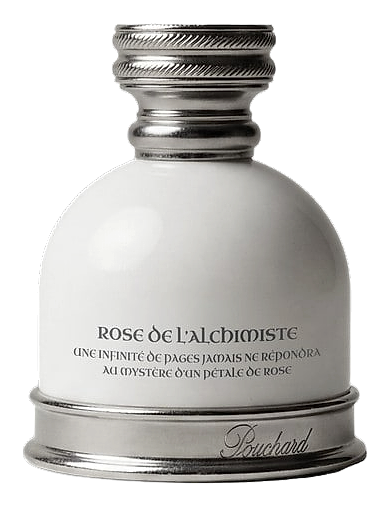 Rose de l'Alchimiste by Pouchard