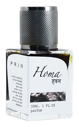 Homa (हवन) by Prin