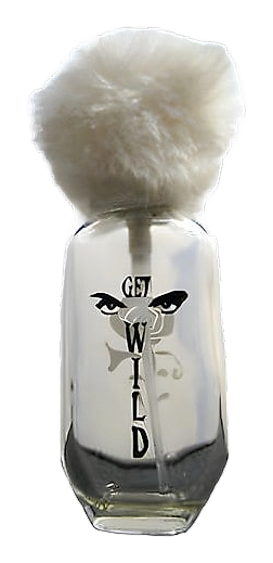 Get Wild by Prince
