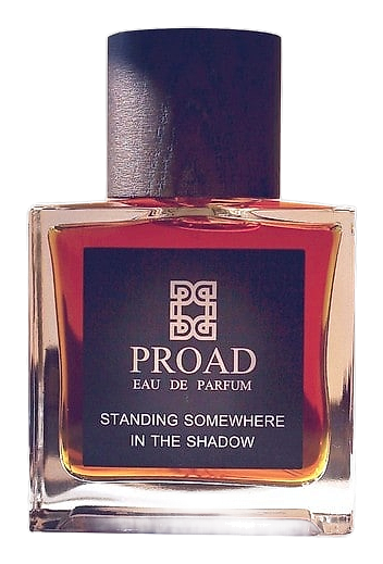 Standing Somewhere In The Shadow by Proad