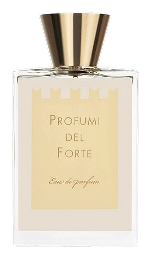 Ambra Mediterranea (Versilia Vintage Ambra Mediterranea) by Profumi del Forte