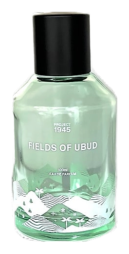 Fields Of Ubud by Project 1945